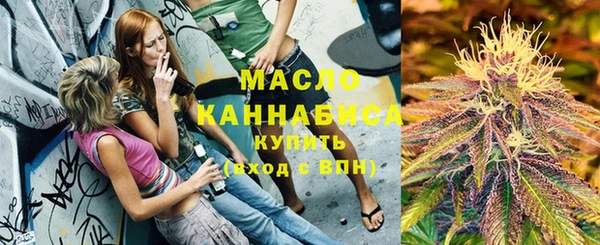 дмт Богородицк
