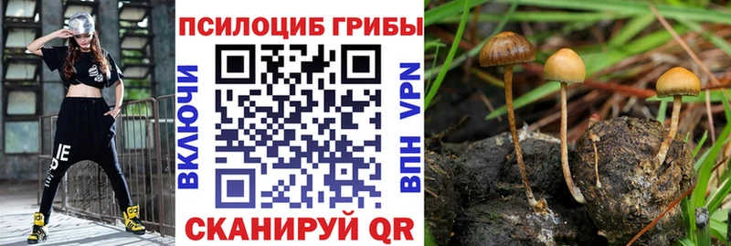 Галлюциногенные грибы Cubensis Кологрив